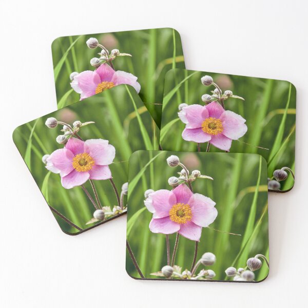 Item preview, Anemone of the Landed Variety designed and sold by Eidetic Photos.