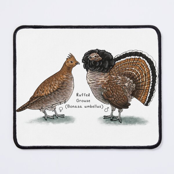 Item preview, Ruffed Grouse by Woodsmith designed and sold by SJWoodsmith.