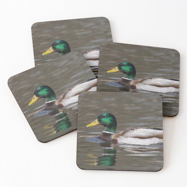 Item preview, Drake Mallard Duck 2 3-9-2026 designed and sold by Thomasyoung.