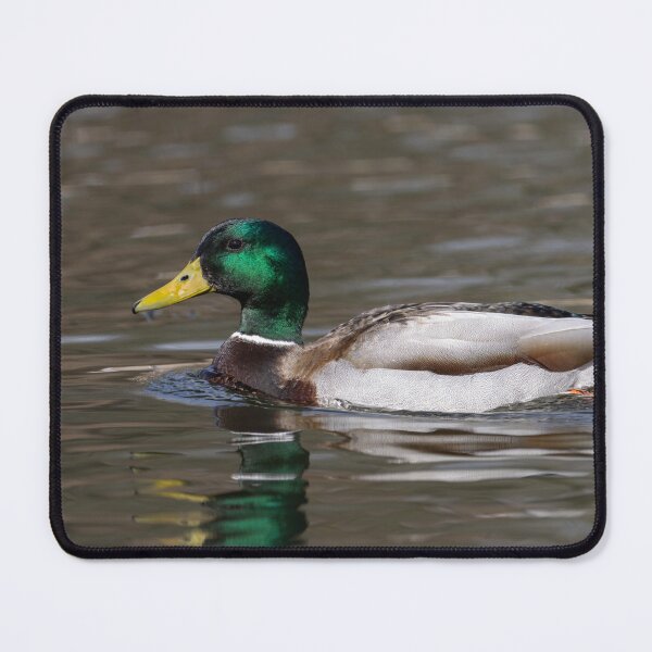 Item preview, Drake Mallard Duck 2 3-9-2026 designed and sold by Thomasyoung.