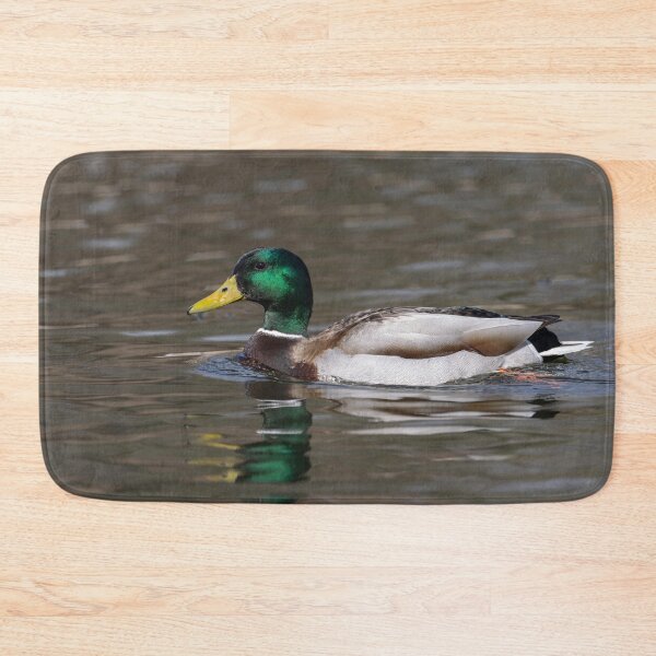 Item preview, Drake Mallard Duck 2 3-9-2026 designed and sold by Thomasyoung.