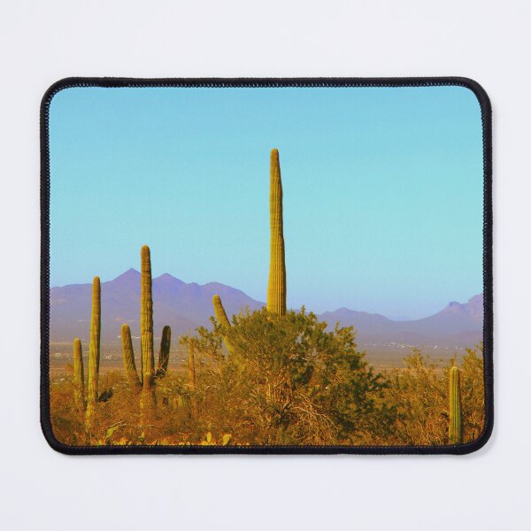 Item preview, Saguaro Cactus National Park Arizona designed and sold by "sensesillusion" - Nature Images Art Prints .