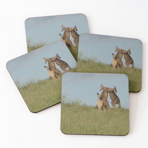 Item preview, Boxing Roos designed and sold by amandink451.