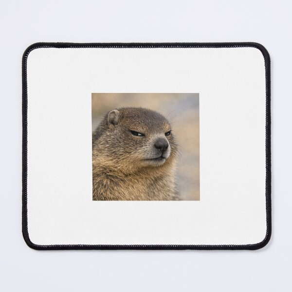 Item preview, Side Eye Marmot — Suspicious Wildlife Funny Meme Art designed and sold by AnotherMarmot.
