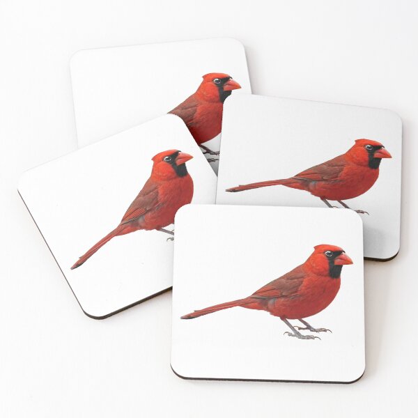 Item preview, Northern Cardinal designed and sold by kyra0nicole.