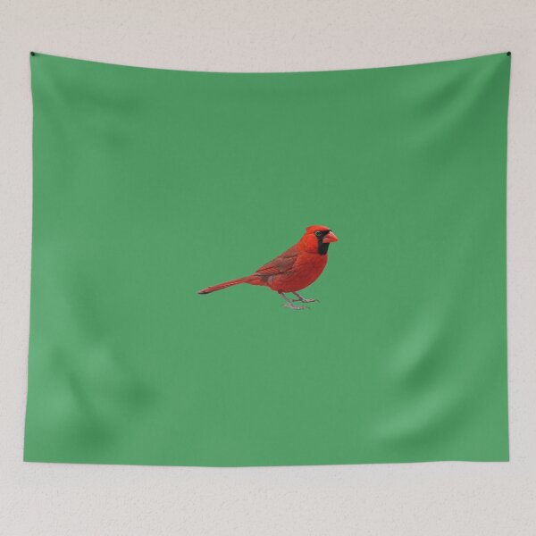 Item preview, Northern Cardinal designed and sold by kyra0nicole.