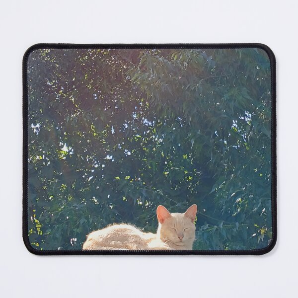 Item preview, Kitten sunbathing designed and sold by Selena' s Studios .
