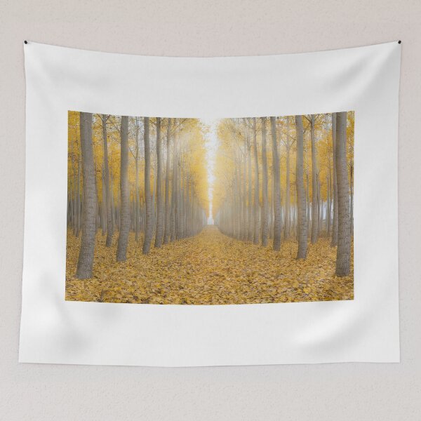 Item preview, Sun rays in Poplar tree farm in Boardman Oregon during foggy morning fall season designed and sold by davidgnsx1.