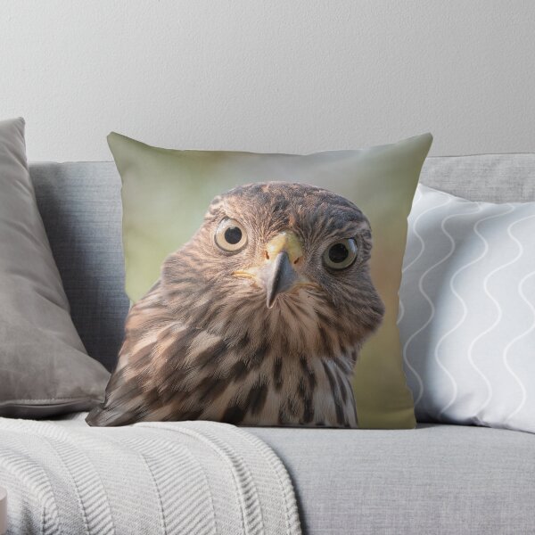 Young and curious Throw Pillow