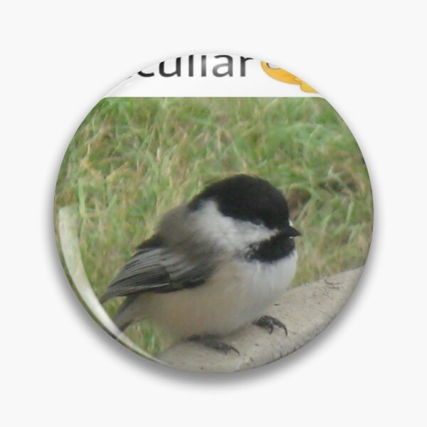 Item preview, This gent so peculiar black capped chickadee designed and sold by (Nice Dream).