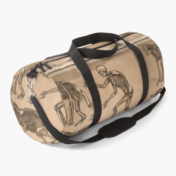 Item preview, Skeletons of a Man an Ape and a Bear lithograph by Benjamin Waterhouse Hawkins designed and sold by Amanda1775.
