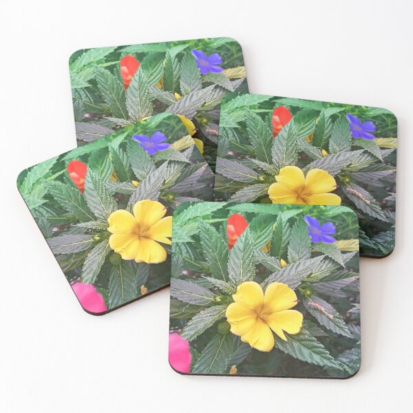 Item preview, Garden designed and sold by DeCollantes.