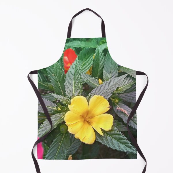 Item preview, Garden designed and sold by DeCollantes.