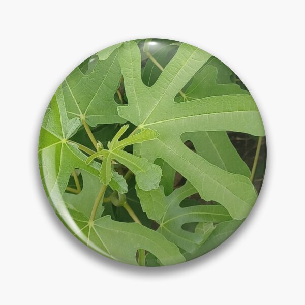 Item preview, Fig Tree Leaves Closeup Photo designed and sold by chucktownjax.