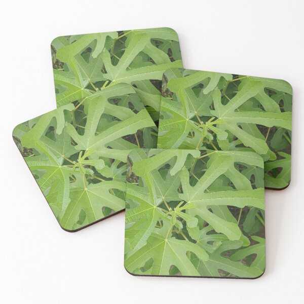 Item preview, Fig Tree Leaves Closeup Photo designed and sold by chucktownjax.