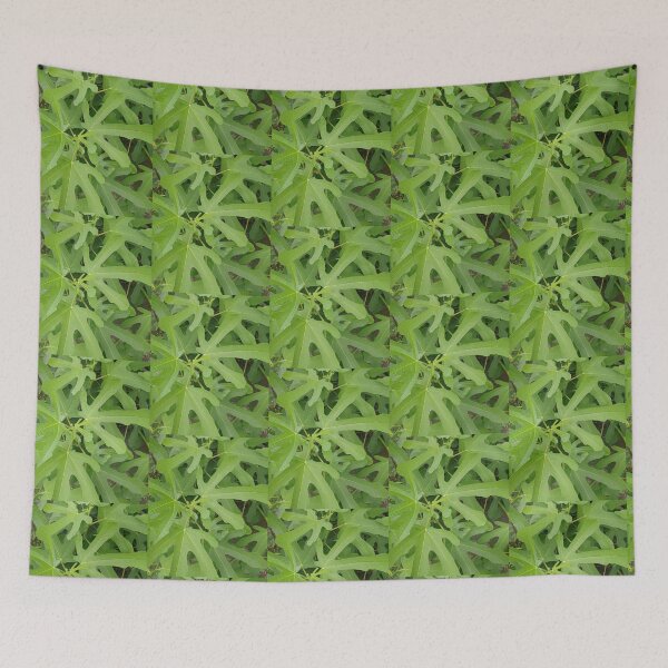 Item preview, Fig Tree Leaves Closeup Photo designed and sold by chucktownjax.