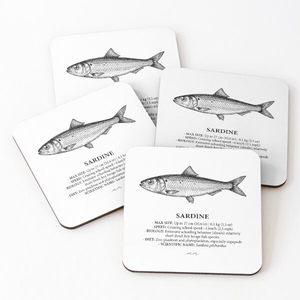 Item preview, Sardine Schooling Fish Vintage Scientific Illustration designed and sold by MotionBanana Art.