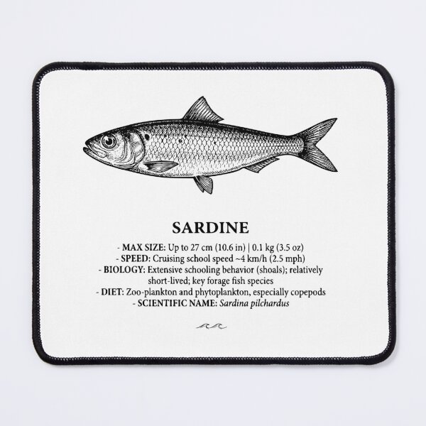 Item preview, Sardine Schooling Fish Vintage Scientific Illustration designed and sold by MotionBanana Art.