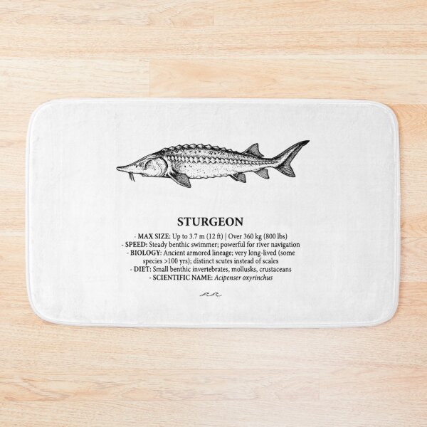 Item preview, Sturgeon Ancient Armored Fish Scientific Illustration designed and sold by MotionBanana Art.