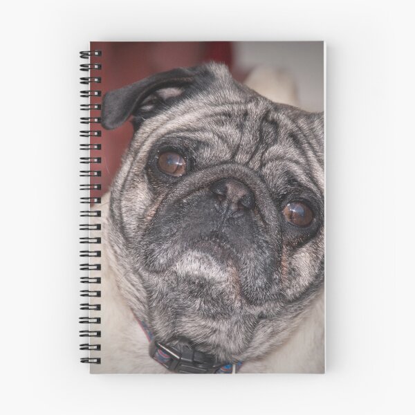 Item preview, What Say You? designed and sold by dmartin200.