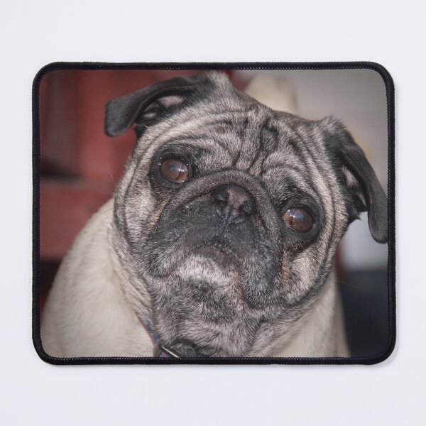 Item preview, What Say You? designed and sold by dmartin200.