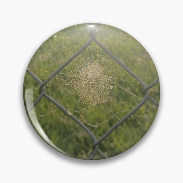 Item preview, Spiderweb on Chain link Sunrise Photo designed and sold by chucktownjax.
