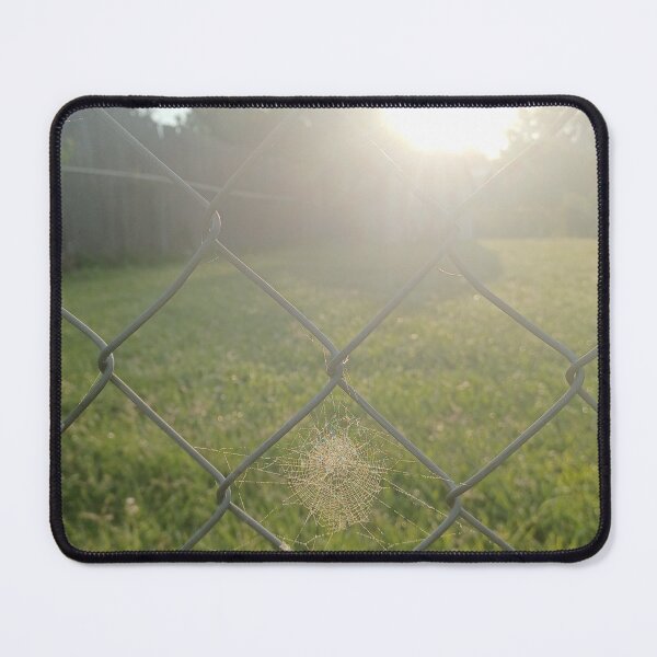 Item preview, Spiderweb on Chain link Sunrise Photo designed and sold by chucktownjax.
