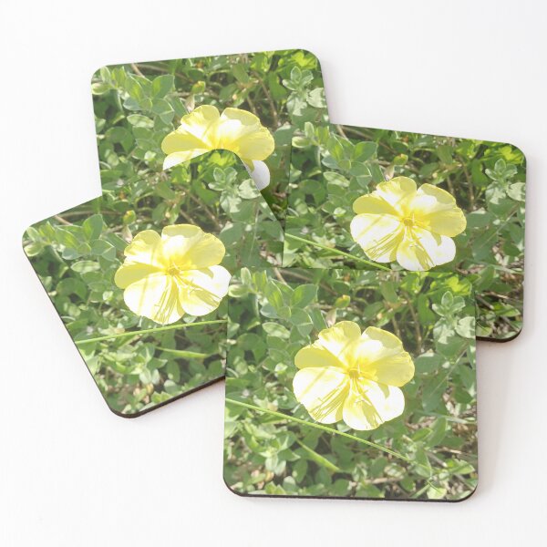 Item preview, Yellow Beach Flower Photo designed and sold by chucktownjax.