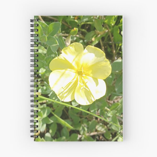 Item preview, Yellow Beach Flower Photo designed and sold by chucktownjax.