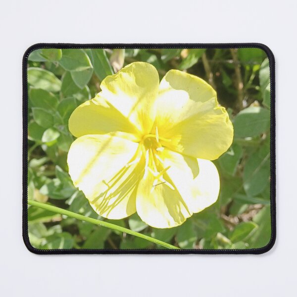 Item preview, Yellow Beach Flower Photo designed and sold by chucktownjax.