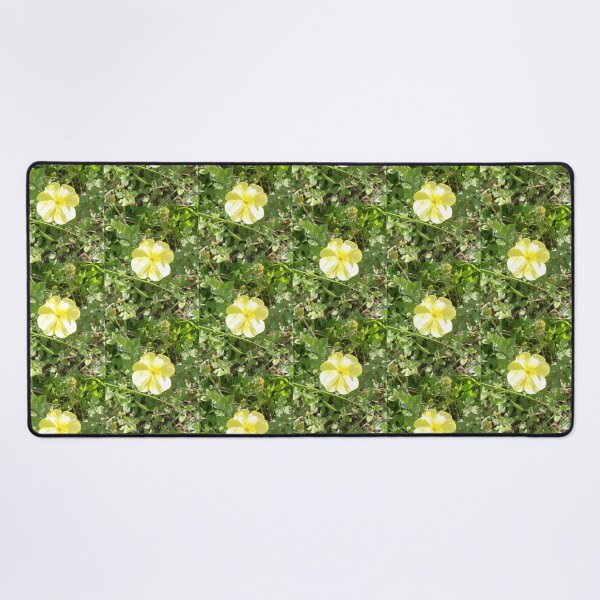 Item preview, Yellow Beach Flower Photo designed and sold by chucktownjax.
