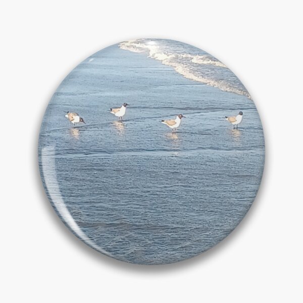 Item preview, Seagull Beach Photo designed and sold by chucktownjax.
