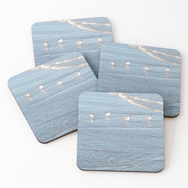 Item preview, Seagull Beach Photo designed and sold by chucktownjax.