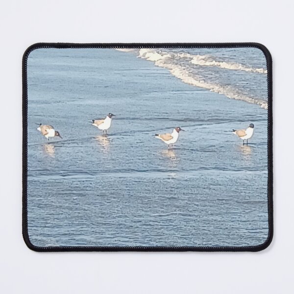 Item preview, Seagull Beach Photo designed and sold by chucktownjax.