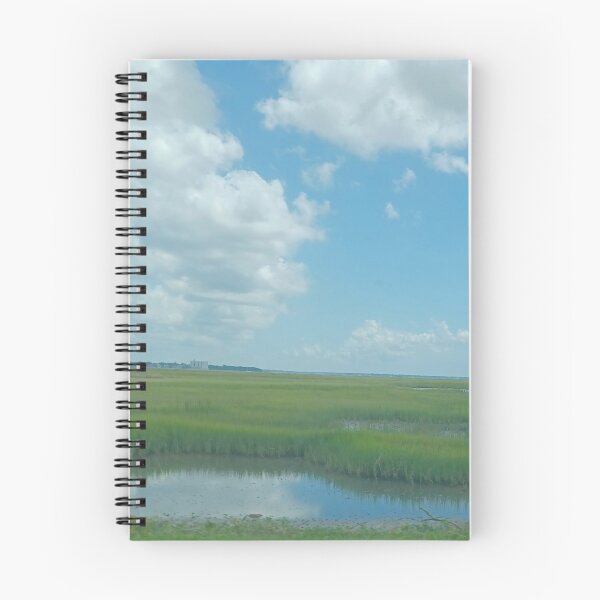 Item preview, Blue Sky Marsh Photo designed and sold by chucktownjax.