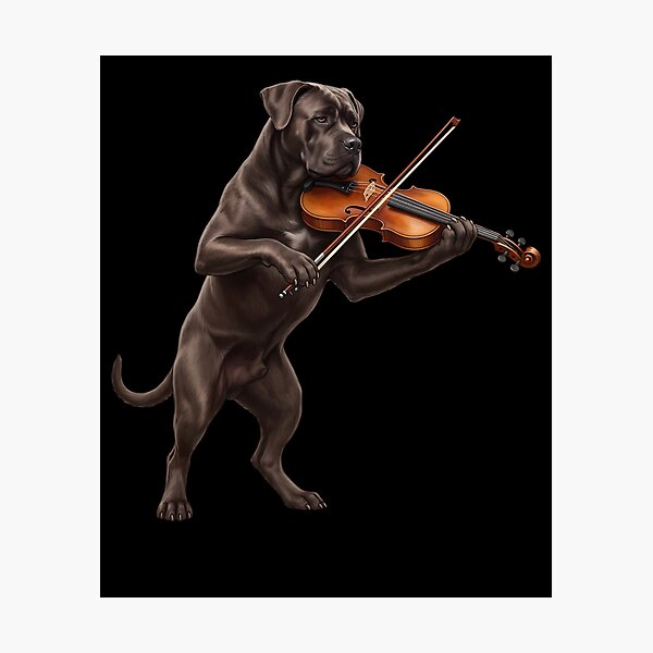 Item preview, Cane Corso Playing Viloin Player Violinist Dog Lover designed and sold by TerryConnells.
