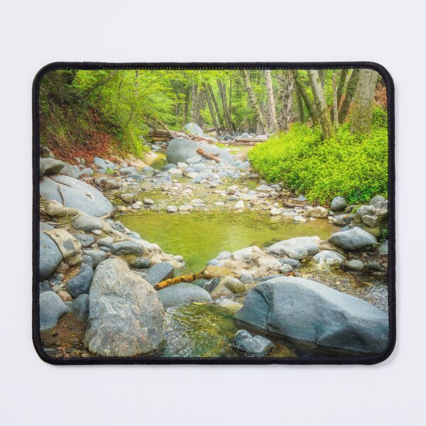 Item preview, Peaceful Forest Creek with Sunlit Green Trees designed and sold by TheHikersEye.
