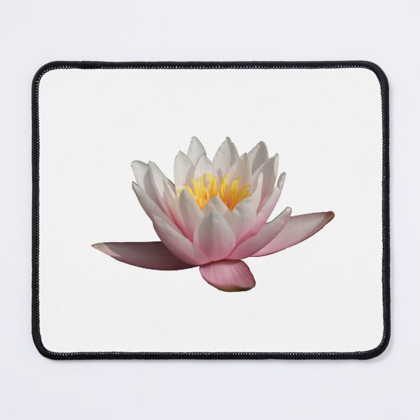 Item preview, Elegant Pink Water Lily Flower Sticker designed and sold by Pulp-Peel.