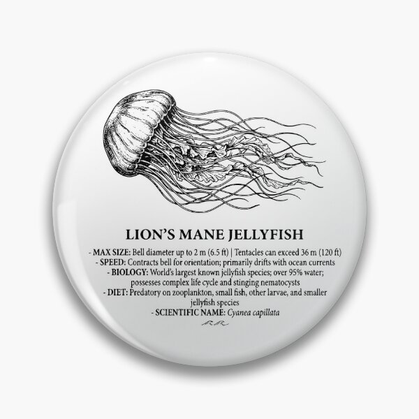Item preview, Vintage Lion's Mane Jellyfish Scientific Print designed and sold by MotionBanana Art.