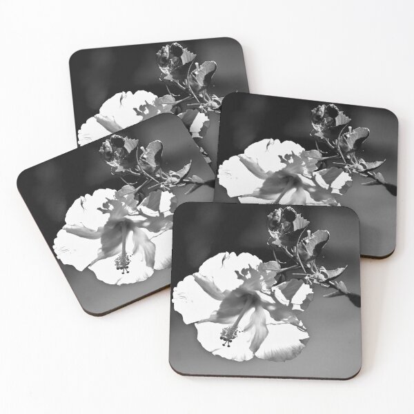 Item preview, Black and White Hibiscus Bloom designed and sold by MercerImages.