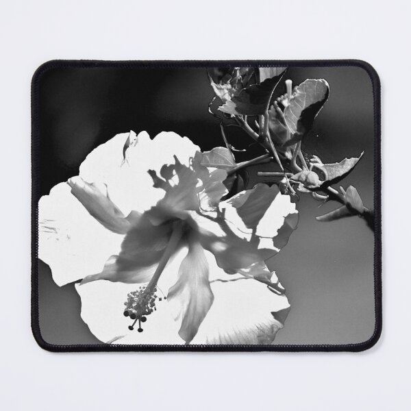 Item preview, Black and White Hibiscus Bloom designed and sold by MercerImages.