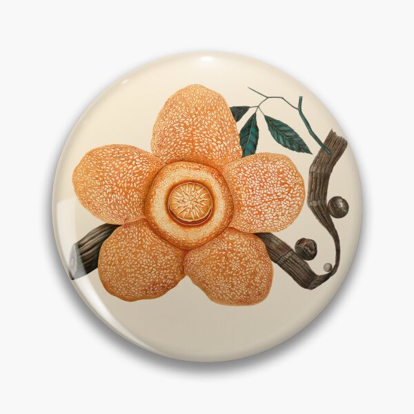 Item preview, Rafflesia Arnoldii Flower designed and sold by wildstrawberry.