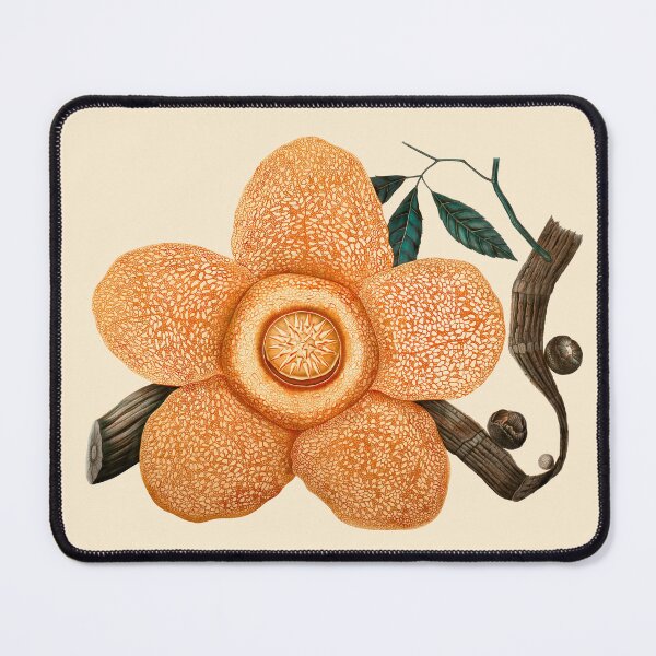 Item preview, Rafflesia Arnoldii Flower designed and sold by wildstrawberry.