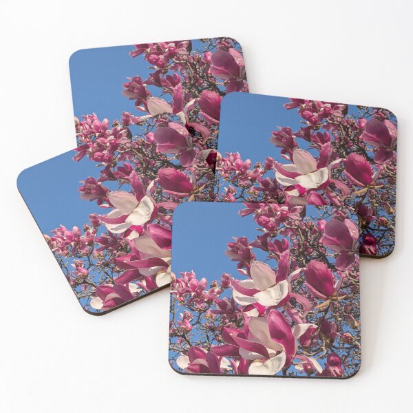 Item preview, Reaching for Spring designed and sold by Tokimaru63.