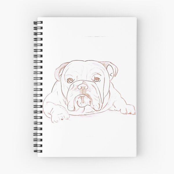 Item preview, Bulldog Sdraiato – Disegno Realistico a Matita designed and sold by DisegniPersonalizzati di irka87.