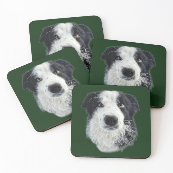 Item preview, Blettur - Border Collie  designed and sold by Askur00.