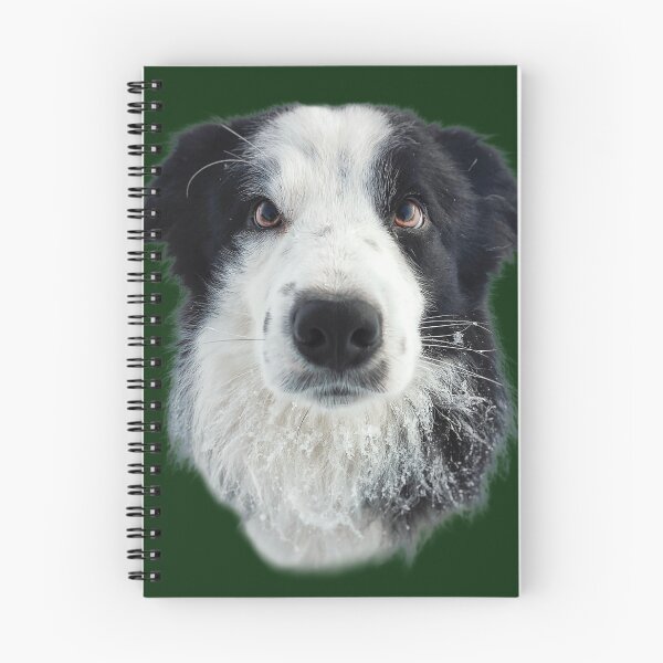 Item preview, Blettur - Border Collie  designed and sold by Askur00.