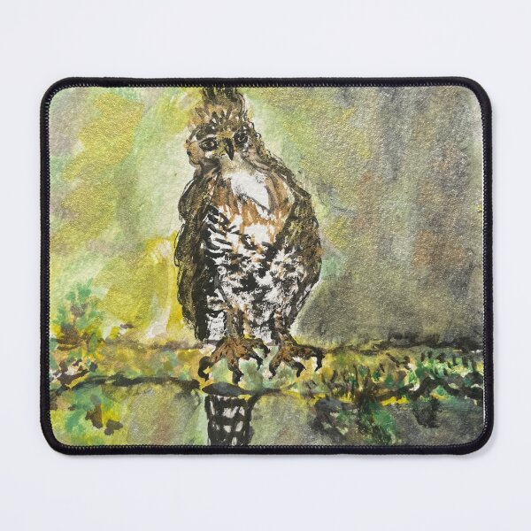 Item preview, The Hawk Who Styled Its Feathers designed and sold by SolartiandBrush.