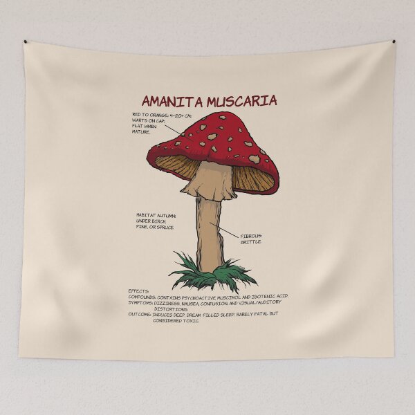 Item preview, Amanita Muscaria Mushroom - Vintage Botanical Field Guide designed and sold by Geek-O-MNL.