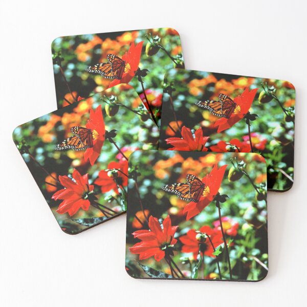 Item preview, Monarch Butterfly Full Frame designed and sold by K D Graves Photography.